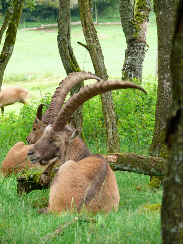 P3220643_Bildgr��e �ndern