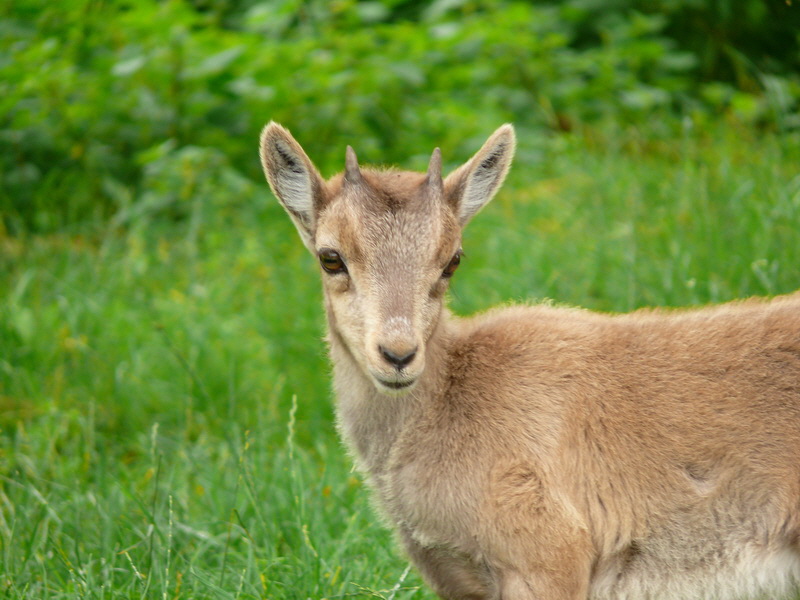 P3220658_Bildgr��e �ndern