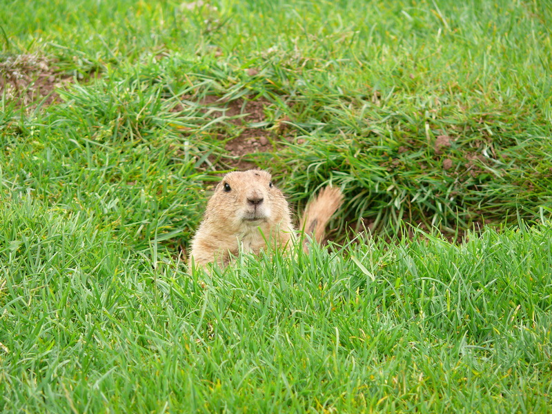 P3220752_Bildgr��e �ndern