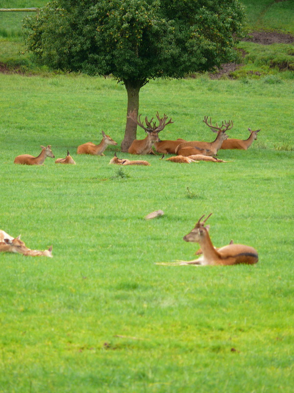 P3220798_Bildgr��e �ndern