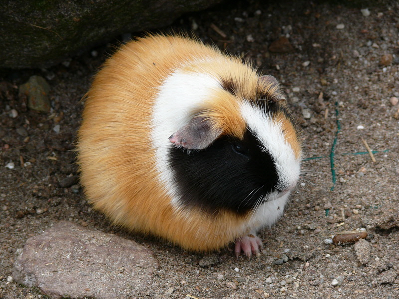 P3220800_Bildgr��e �ndern