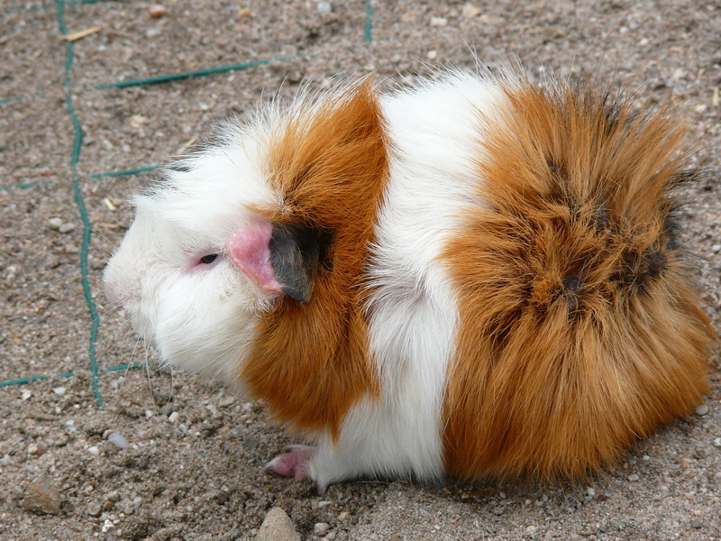 P3220802_Bildgr��e �ndern