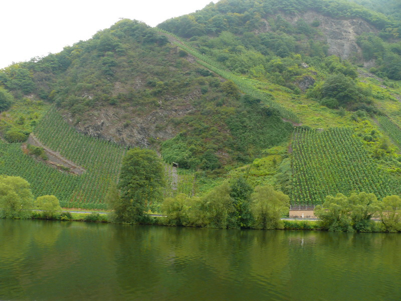 P3230082_Bildgr��e �ndern