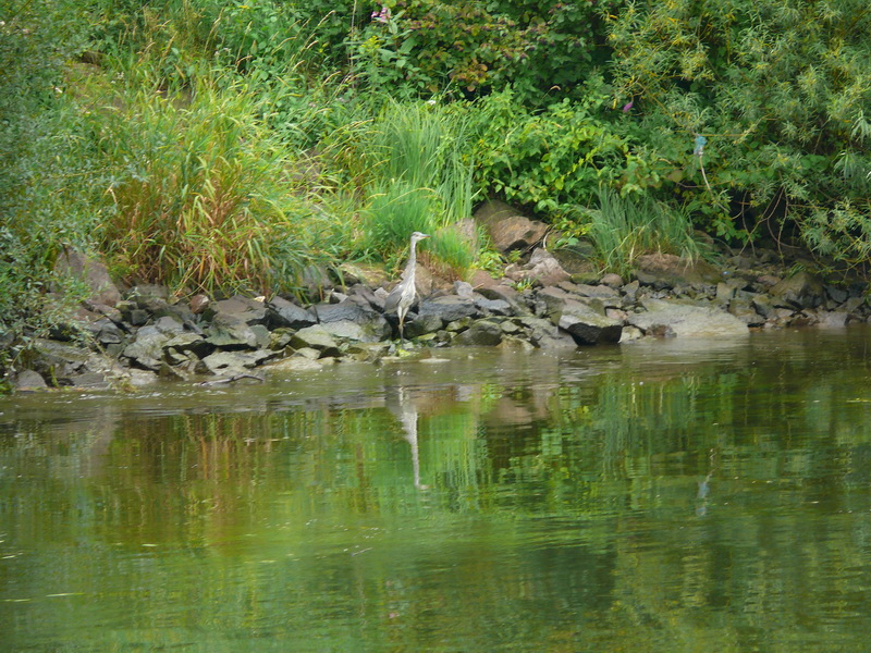 P3230121_Bildgr��e �ndern