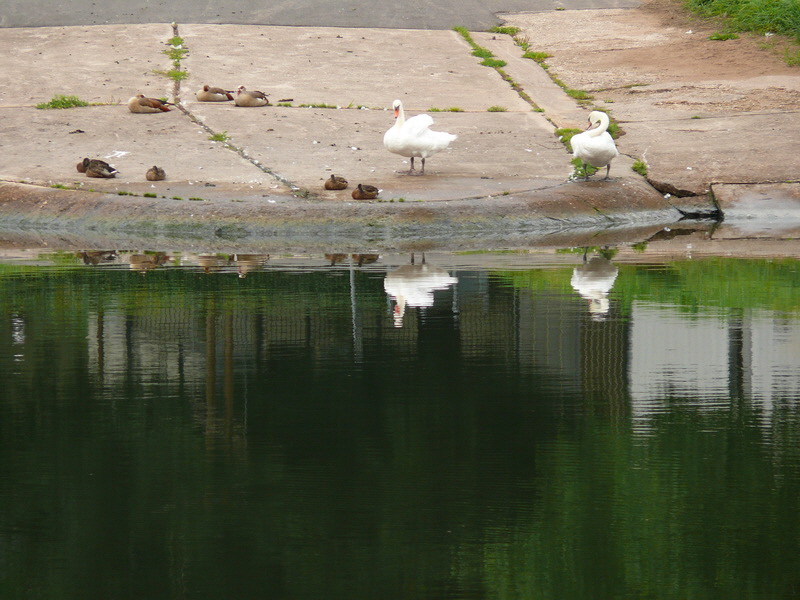 P3230173_Bildgr��e �ndern