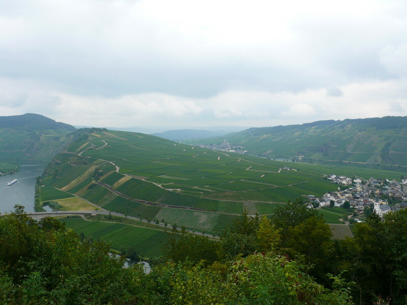 P3230557_Bildgr��e �ndern