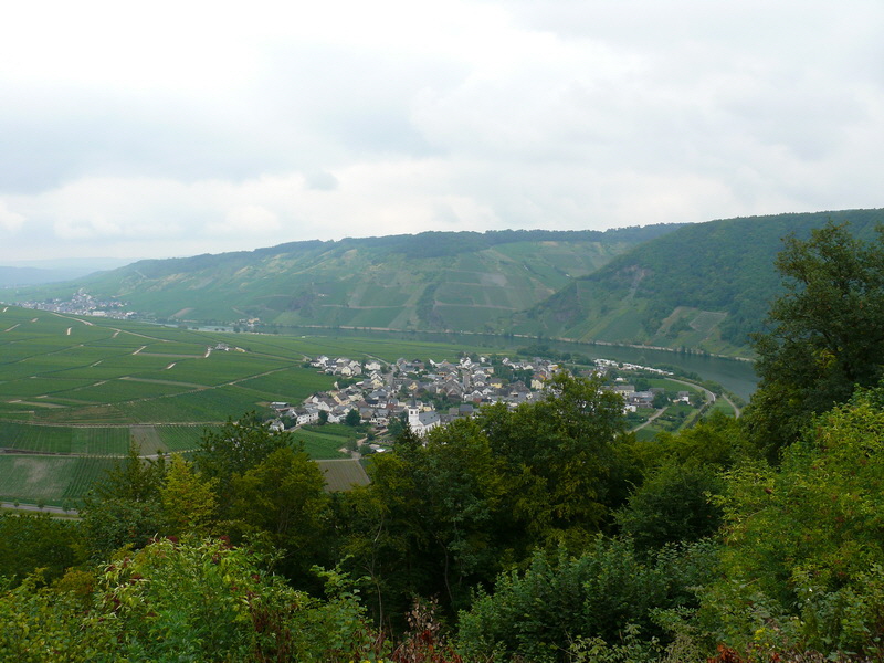 P3230558_Bildgr��e �ndern