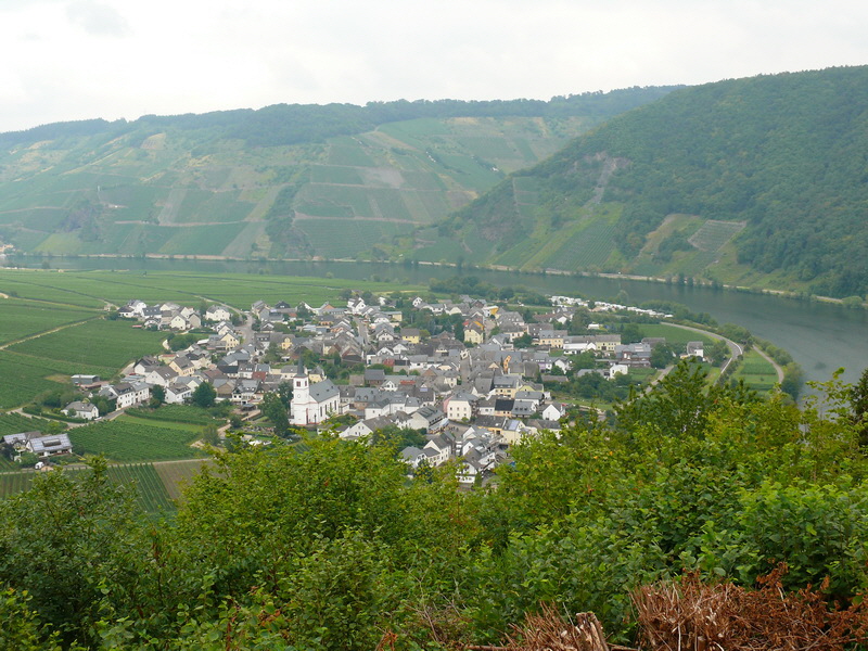 P3230577_Bildgr��e �ndern