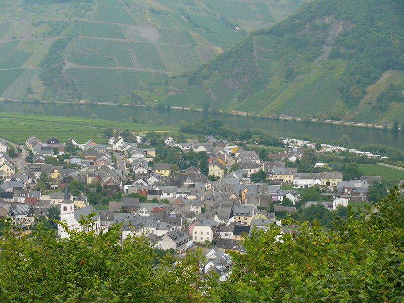 P3230588_Bildgr��e �ndern