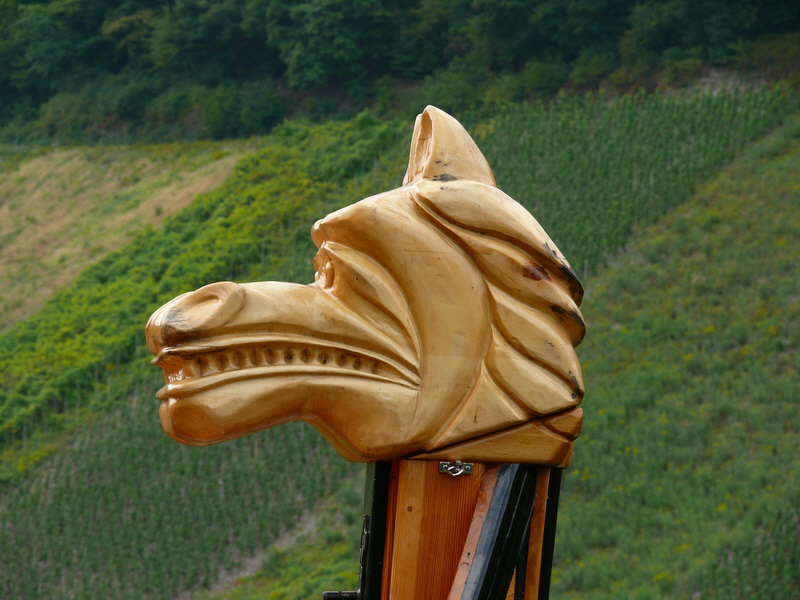 P3230630_Bildgr��e �ndern