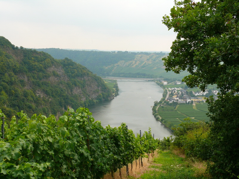 P3230871_Bildgr��e �ndern