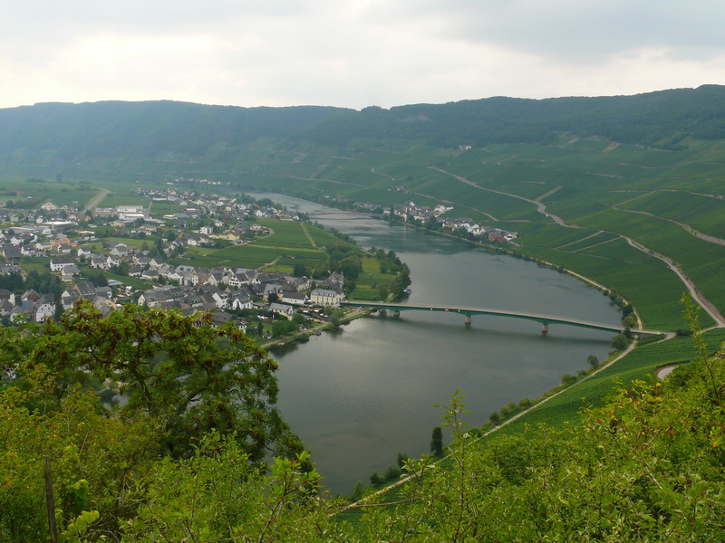 P3230895_Bildgr��e �ndern