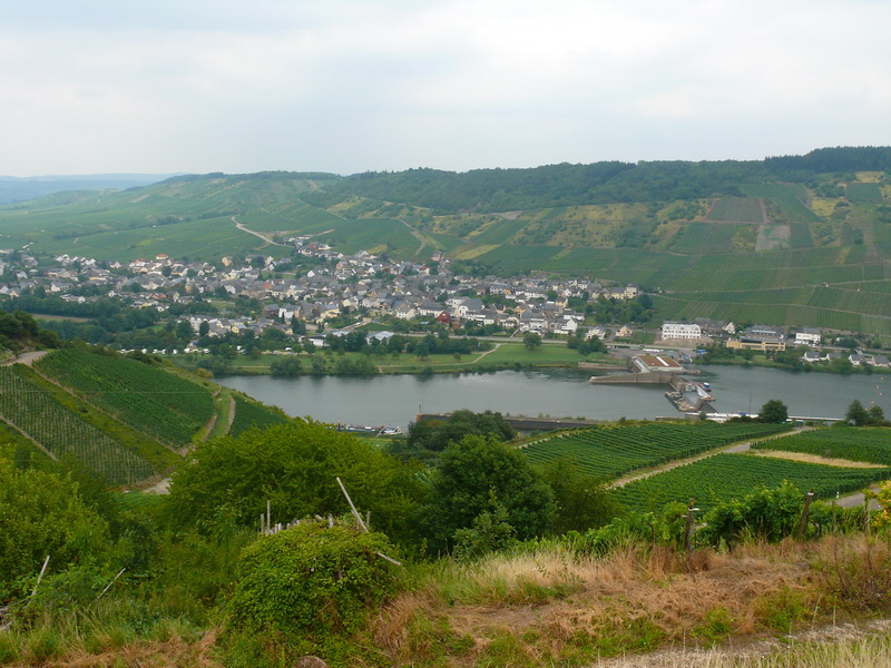 P3230904_Bildgr��e �ndern