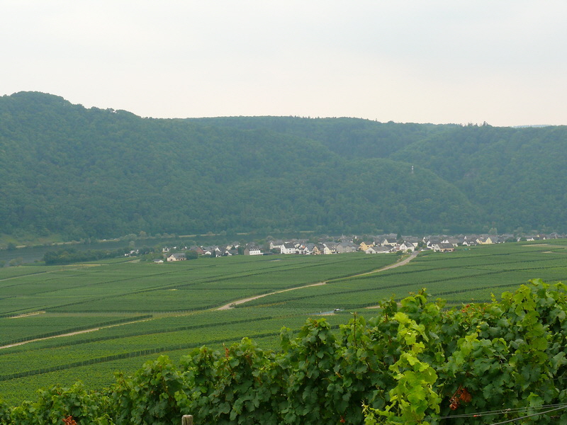 P3230921_Bildgr��e �ndern