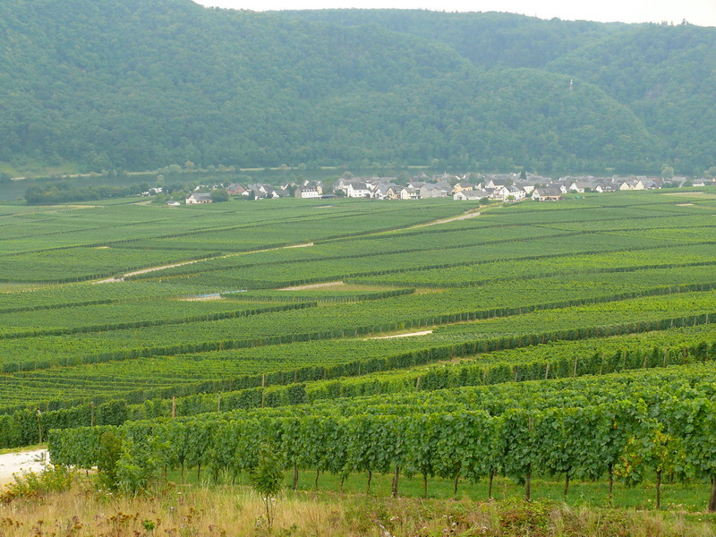 P3230949_Bildgr��e �ndern