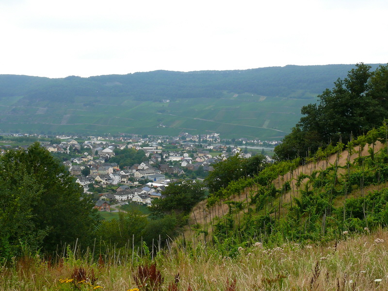 P3240002_Bildgr��e �ndern