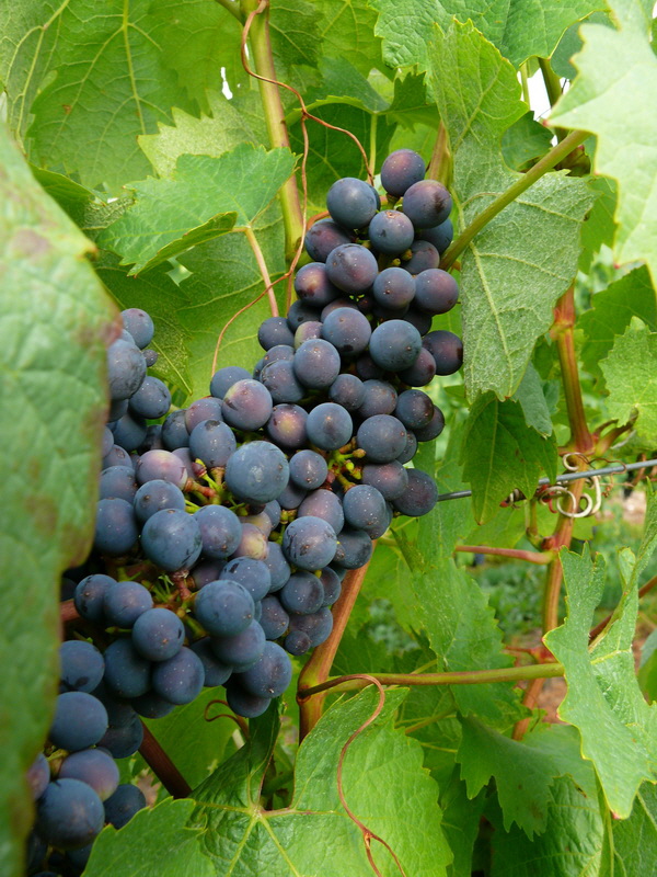 P3240252_Bildgr��e �ndern