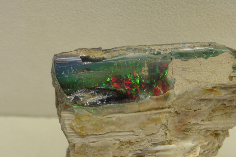 S1490063_Bildgr��e �ndern