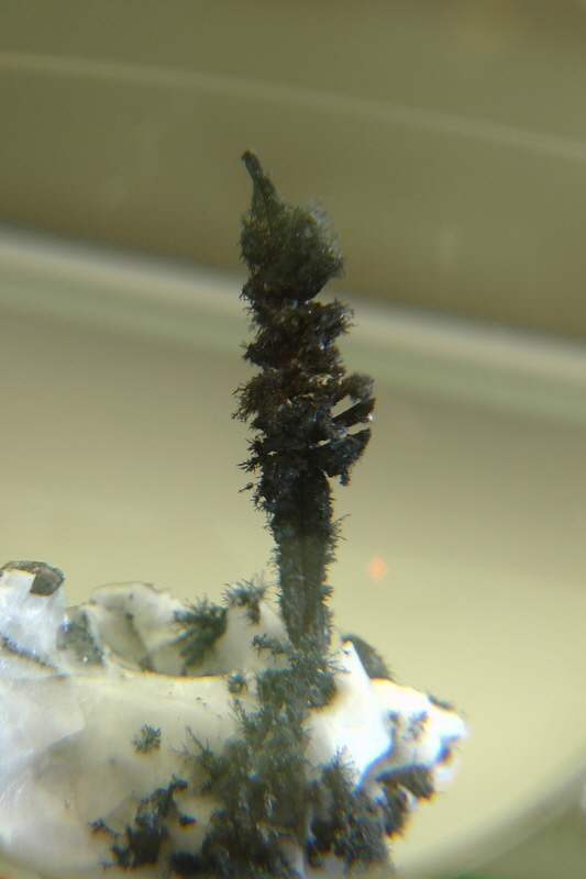 S1490087_Bildgr��e �ndern