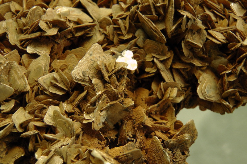 S1490147_Bildgr��e �ndern