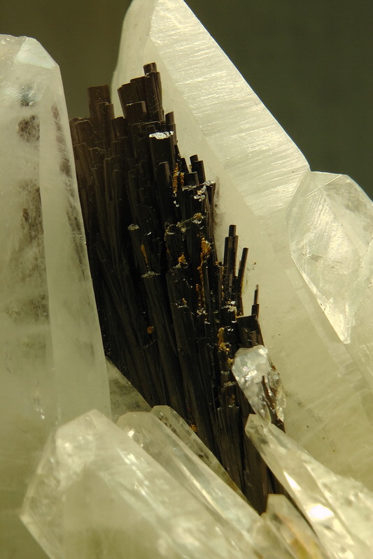 S1490169_Bildgr��e �ndern