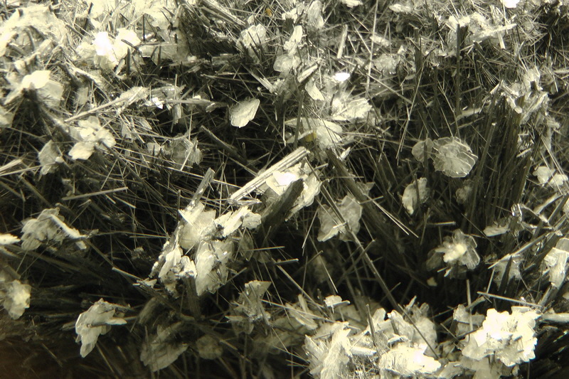 S1490173_Bildgr��e �ndern