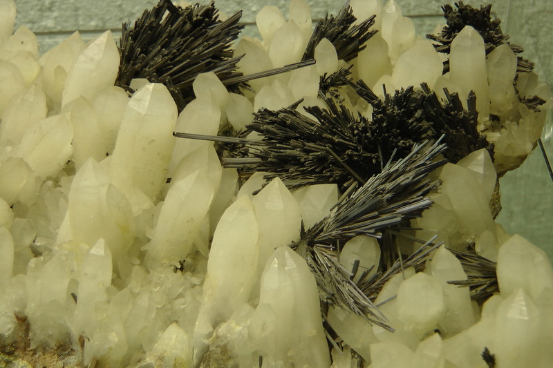 S1490176_Bildgr��e �ndern