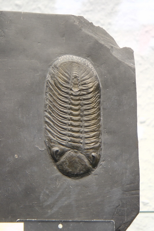 S1490182_Bildgr��e �ndern