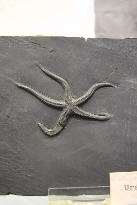 S1490183_Bildgr��e �ndern