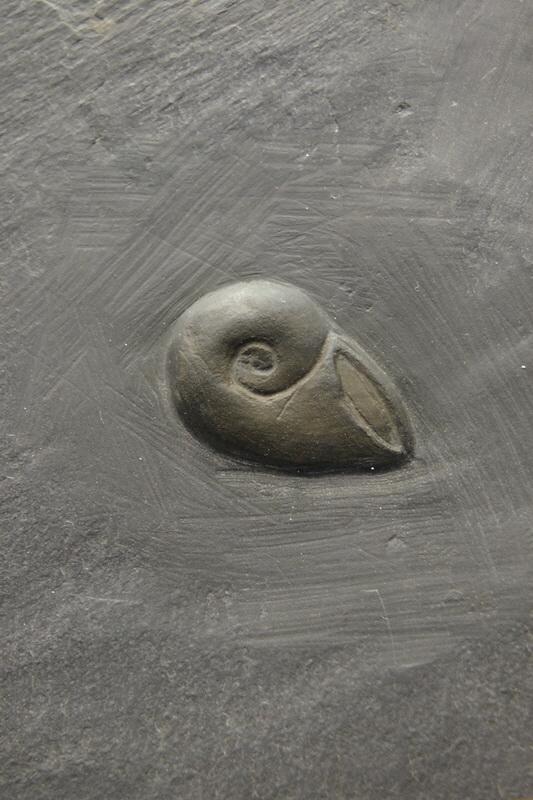 S1490184_Bildgr��e �ndern