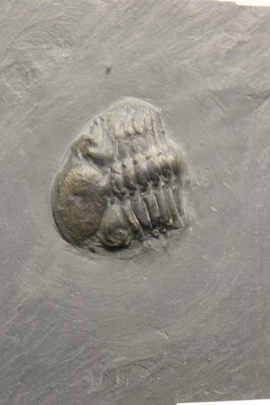 S1490186_Bildgr��e �ndern