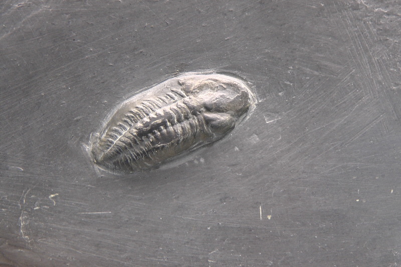 S1490187_Bildgr��e �ndern