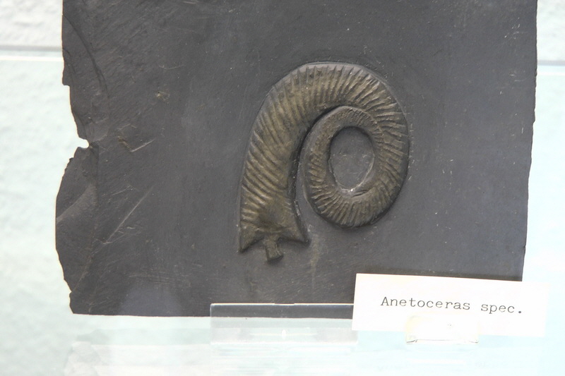 S1490189_Bildgr��e �ndern