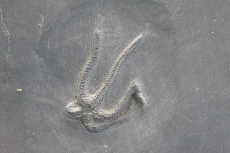 S1490190_Bildgr��e �ndern