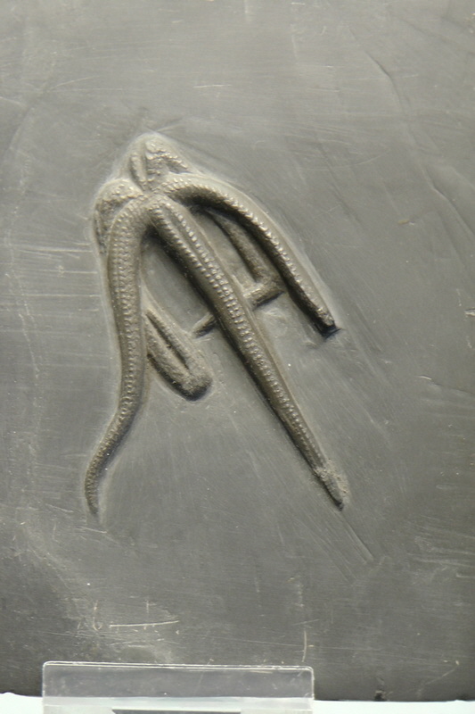 S1490191_Bildgr��e �ndern