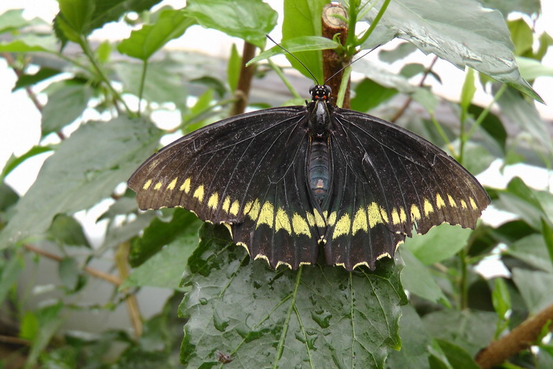 S1490209_Bildgr��e �ndern