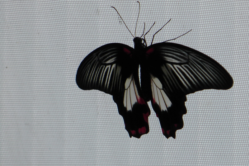 S1490211_Bildgr��e �ndern