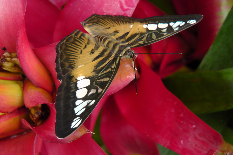 S1490213_Bildgr��e �ndern