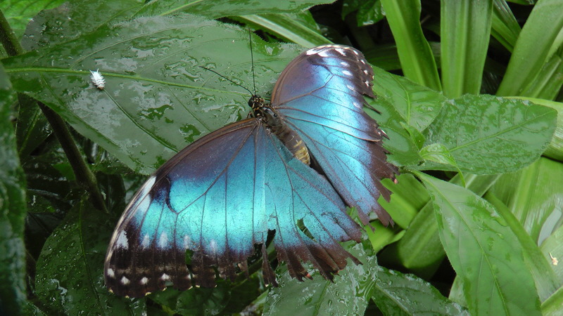 S1490223_Bildgr��e �ndern