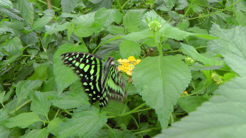 S1490227_Bildgr��e �ndern