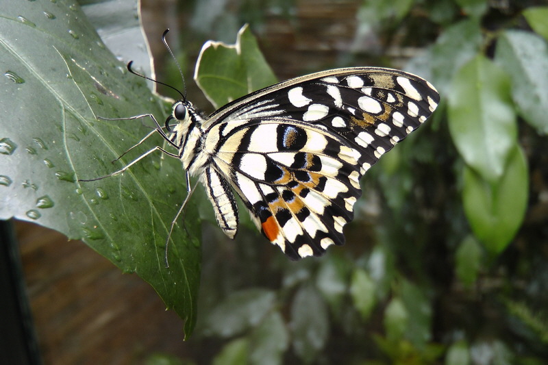 S1490240_Bildgr��e �ndern