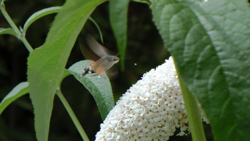 S1500048_Bildgr��e �ndern