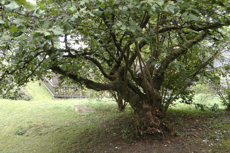 S1510007_Bildgr��e �ndern