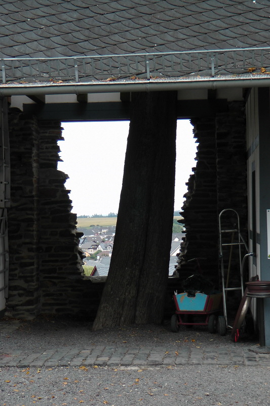 S1510061_Bildgr��e �ndern