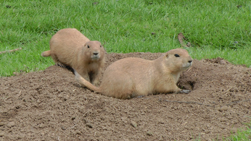 S1530005_Bildgr��e �ndern