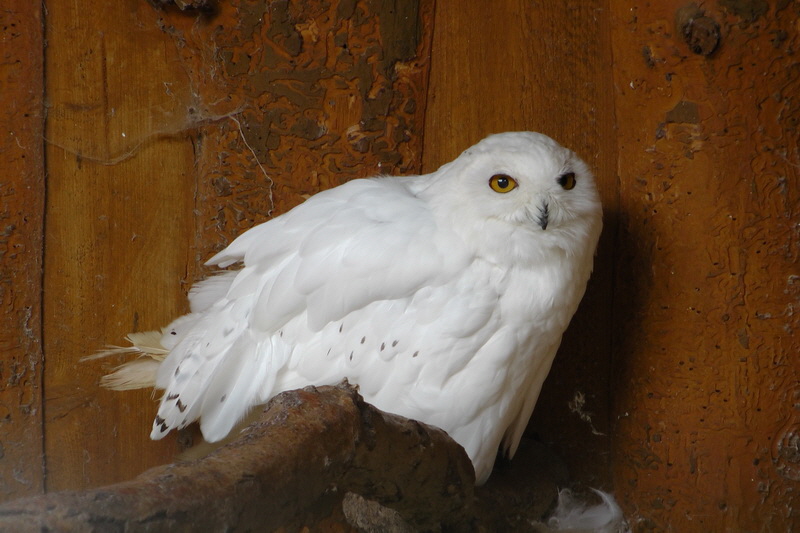 S1530006_Bildgr��e �ndern