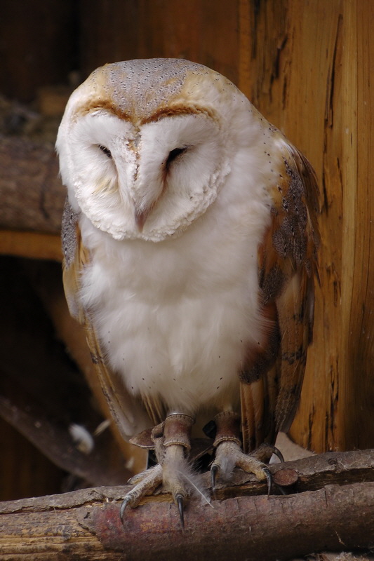 S1530010_Bildgr��e �ndern