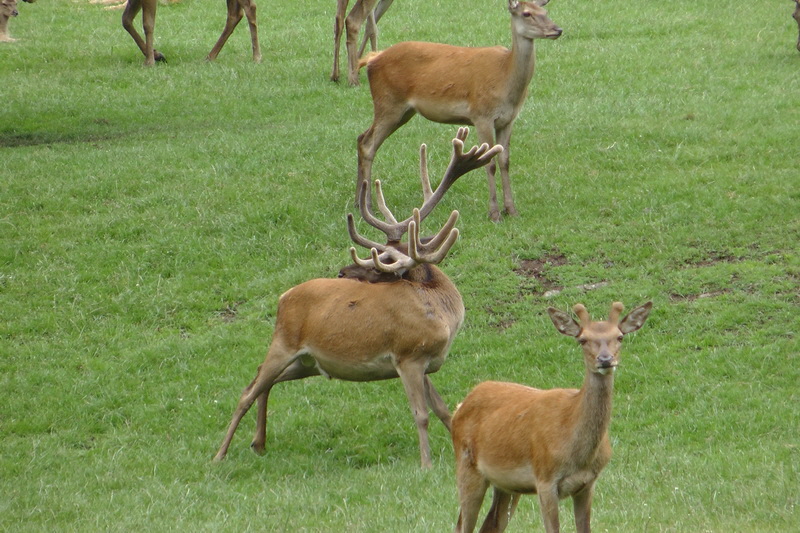 S1530041_Bildgr��e �ndern