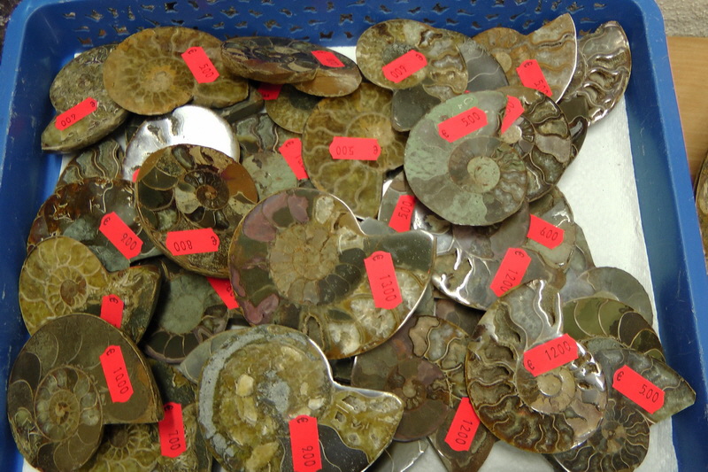 S1530073_Bildgr��e �ndern