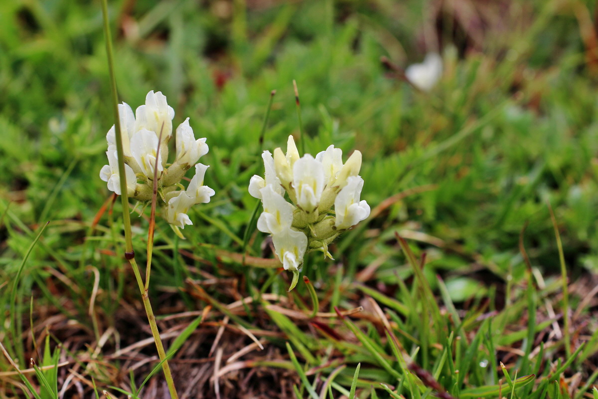 2014_08_01_00007887p_Bildgr��e �ndern